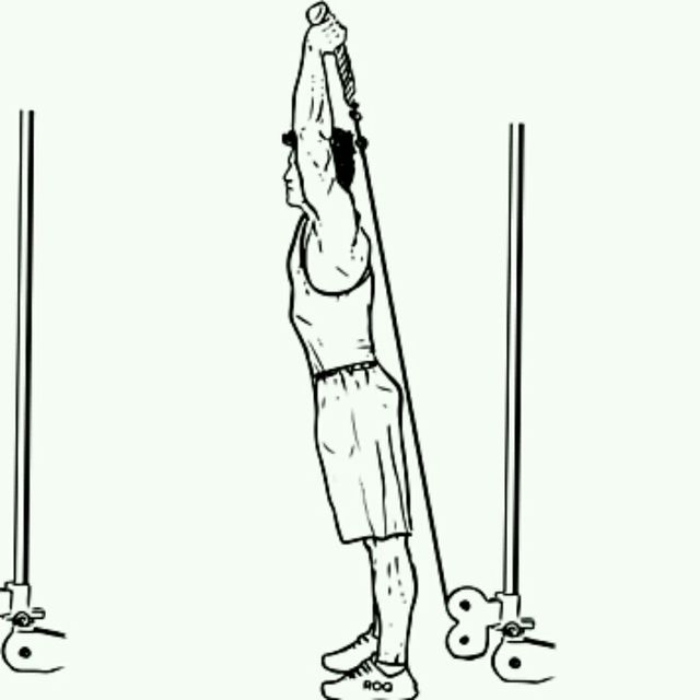 CM Low Pulley Two Arms Overhead Triceps Extensions by Pavel B. Exercise Howto Skimble