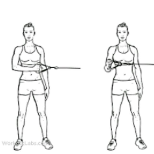 Shoulder External Rotations With Band by Aysel S. - Exercise How-to ...