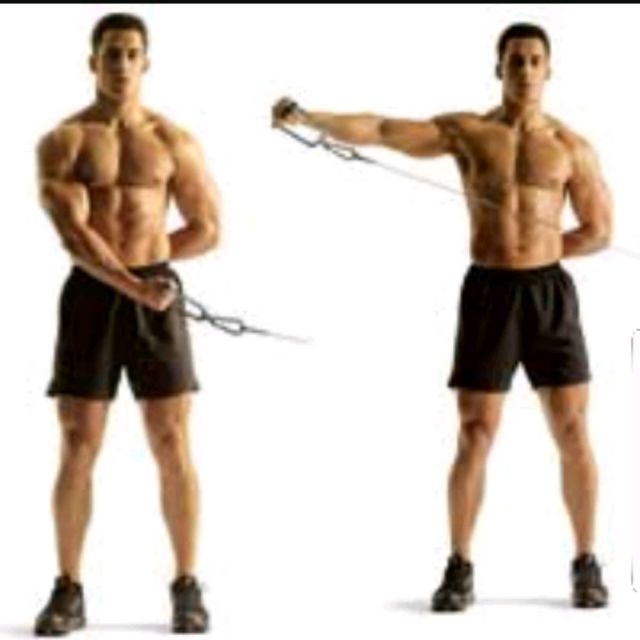 Cable Side Laterals by 𝔻𝕖𝕤𝕖𝕣𝕥 𝔽𝕠𝕩🦊 🌟 Exercise Howto Skimble