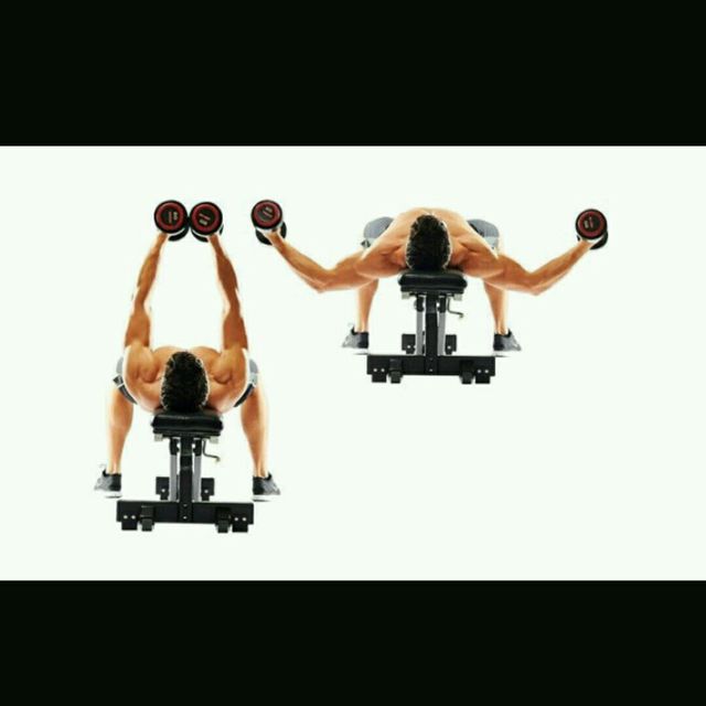 Chest Flyes On Bench by Stephanie R. Exercise Howto Skimble