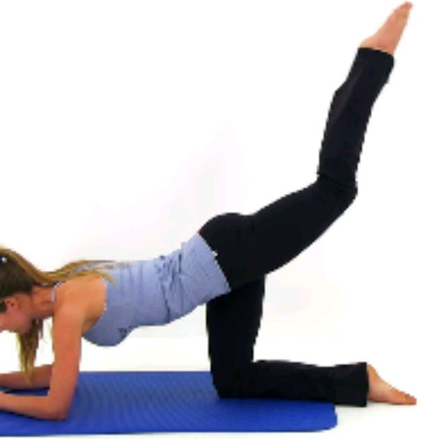 Kneeling Leg Curls by 𝔻𝕖𝕤𝕖𝕣𝕥 𝔽𝕠𝕩🦊 🌟 Exercise Howto Skimble