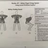 Qi Gong Kidney Organ Energy System