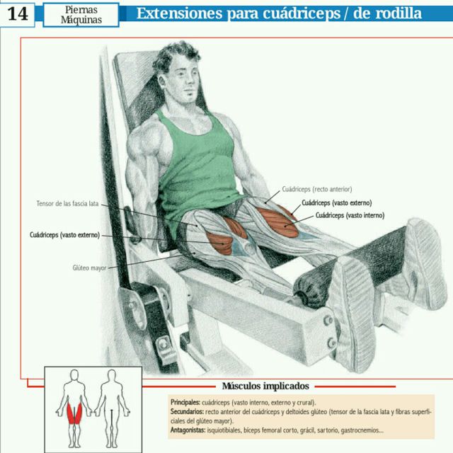 Piernas Máquinas de Poleas Extensión de Cuádriceps 6 Series