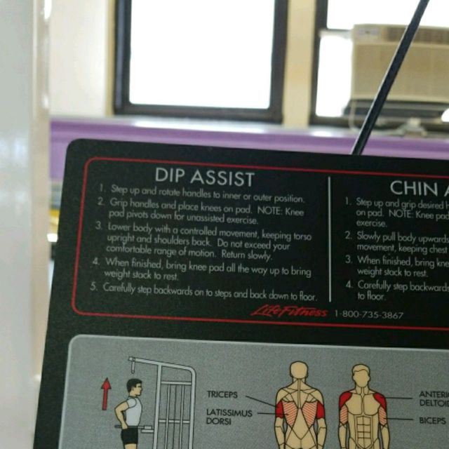 Dip Assist by Marcos Rodriguez Exercise Howto Skimble