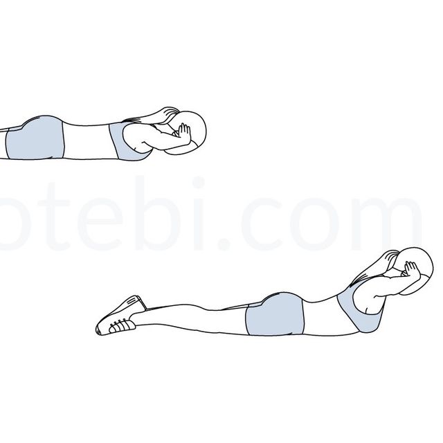 Back Extensions by Sofia T Exercise Howto Skimble