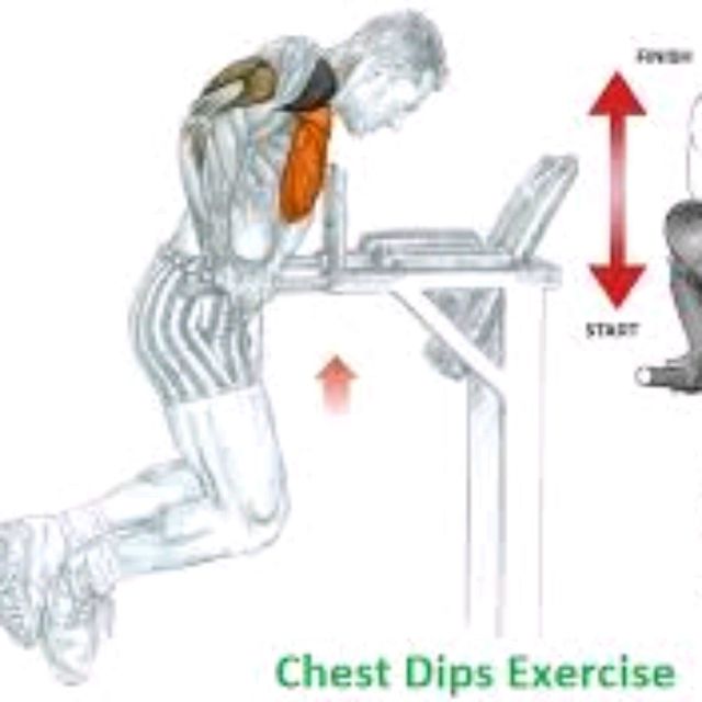 Chest Dips by Robster C Exercise Howto Skimble