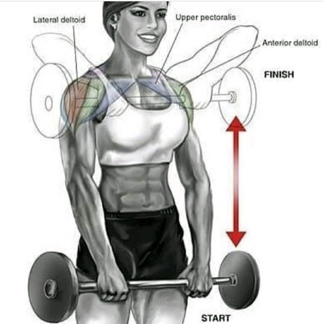 Straight Bar Upright Rows by Roxxang Franklin Exercise Howto Skimble