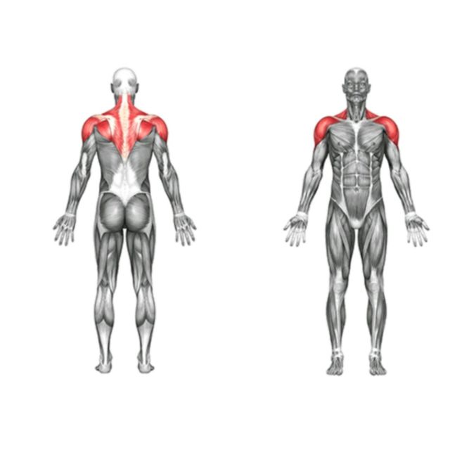 Shoulders Pec Deck RearDelt Laterals by Saranyapong T. Exercise