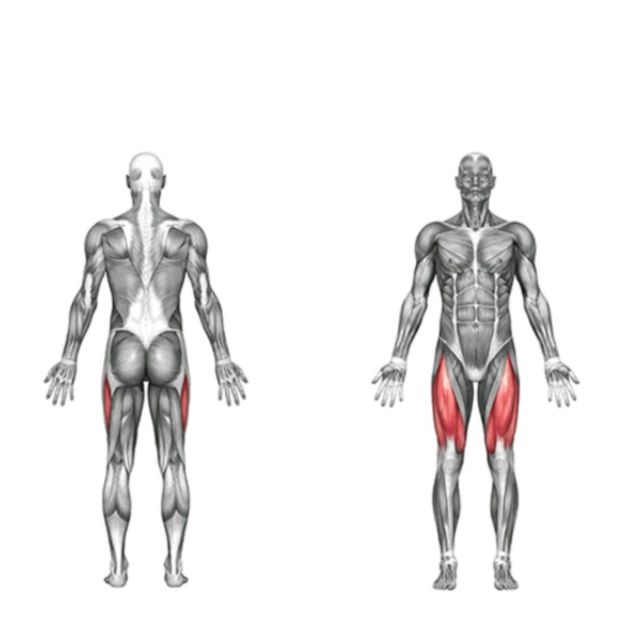 Legs Leg Extension by Saranyapong T. Exercise Howto Skimble