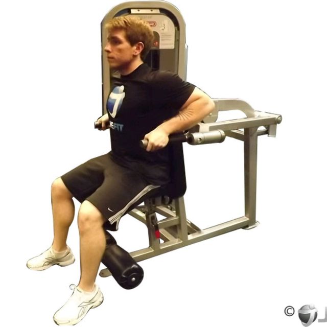 Seated Tricep Push by D Rodney Exercise Howto Skimble