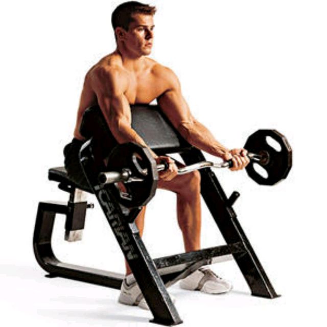 How To Do Preacher Curls At Home Preacher Curls by Rainer Schmidt - Exercise How-to - Skimble
