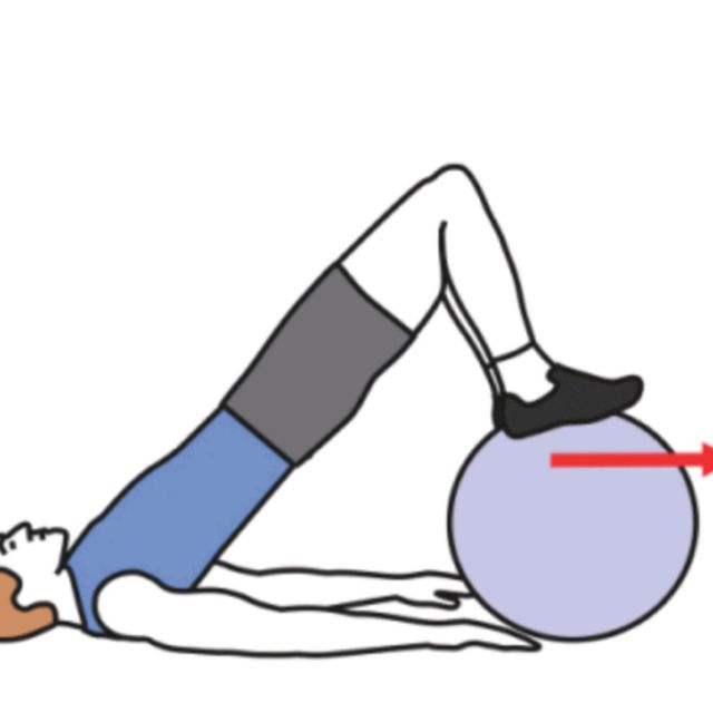 Knee Flexion On Ball by Jonathan Wafer Veillette - Exercise How-to ...