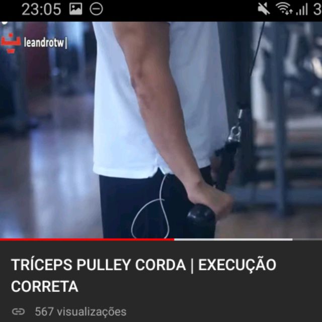 Triceps Pulley Corda by Alexandre N. Exercise Howto Skimble
