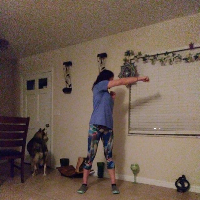 Weighted Torso Twist Side Punches by Marie Perry Exercise Howto