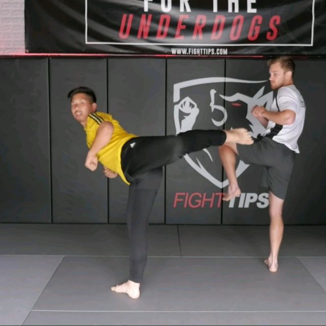 Wheel Kick Spinning Hook Kick by Bernadette C. Exercise Howto