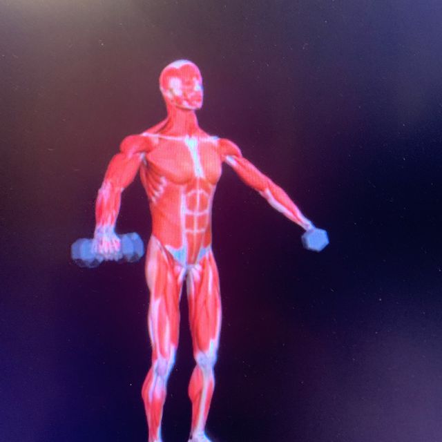 Dumbbell Arm Circles by Ted Smith Exercise Howto Skimble