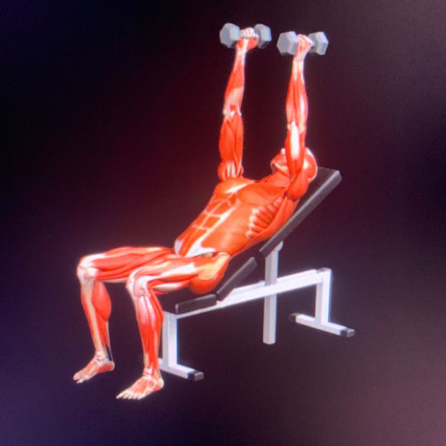 Dumbbell Bench Press Incline Natural Grip by Ted S. Exercise Howto