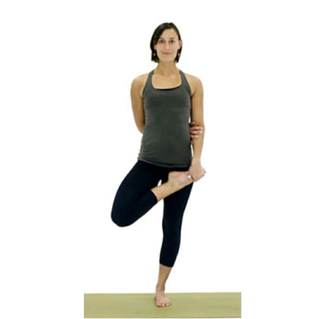 Half Bound Lotus Tree by 𝔻𝕖𝕤𝕖𝕣𝕥 𝔽𝕠𝕩🦊 🌟 Exercise Howto Skimble