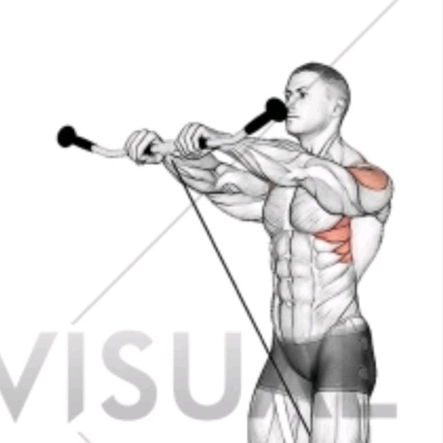 Cable Front Raises by David M. Exercise Howto Skimble