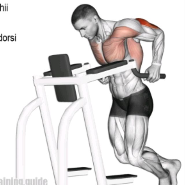 Dips by Jesus Alfonso Tapia Bocio Exercise Howto Skimble