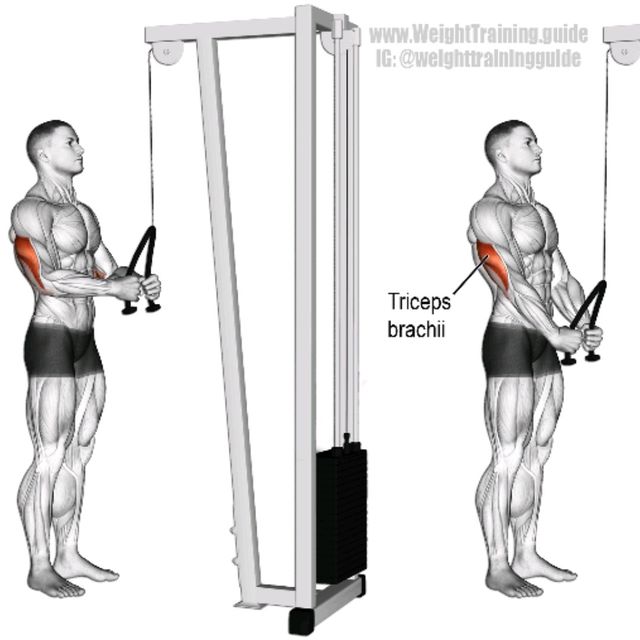 How to do: Tricep Push Down - Step 1