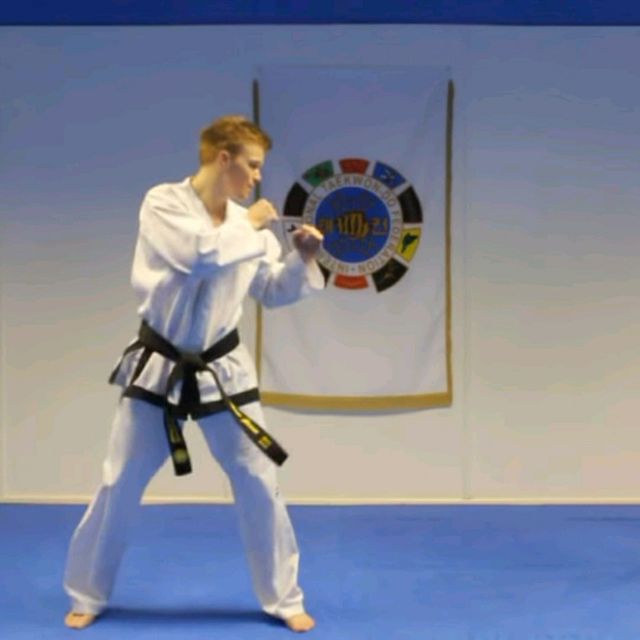 Spinning Back Kick - Left • Dwi Chagi by Bernadette C. - Exercise How ...