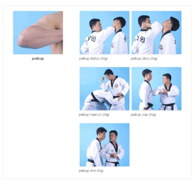 Elbow Strike • Palgup Chigi by Bernadette C. Exercise Howto Skimble