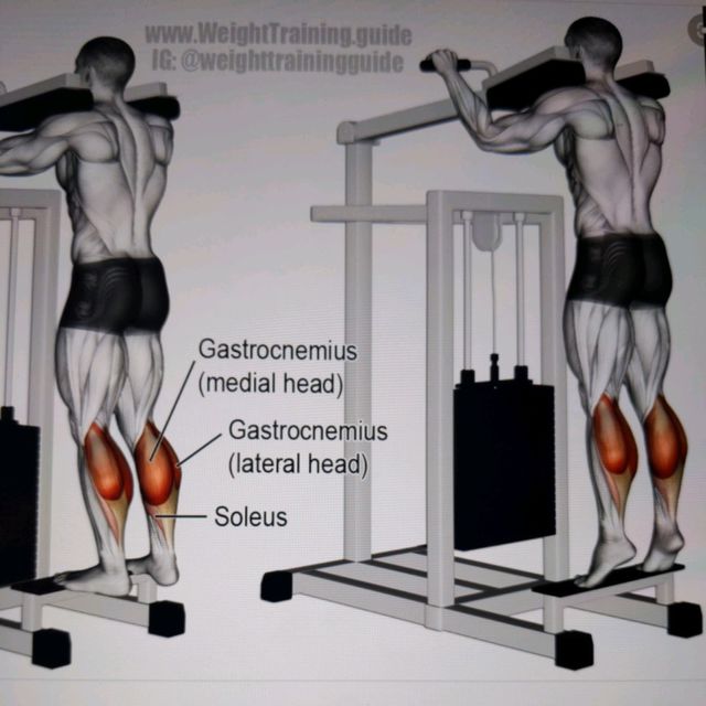 How to do: Standing Calf Raise - Step 1