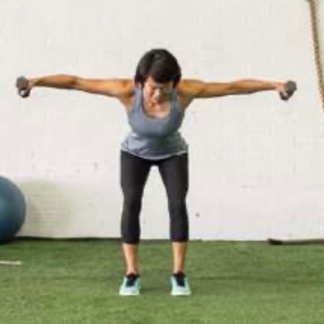 Bent Over Dumbbell Fly by Brian Fallon - Exercise How-to - Skimble