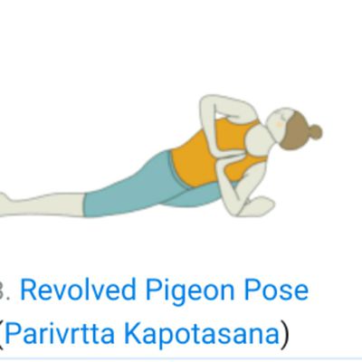 Revolved Pigeon Right