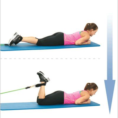 Seated Hamstring Curls With Theraband A Complete Guide For Perfecting