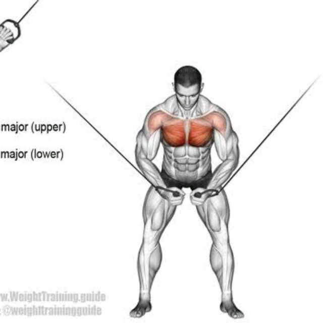 Cable Flys by Fawwaz Sathaar Exercise Howto Skimble