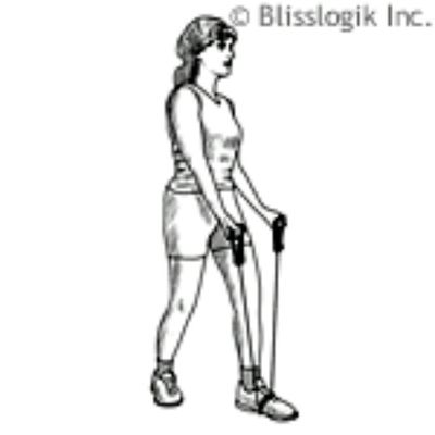 Band Biceps Curl