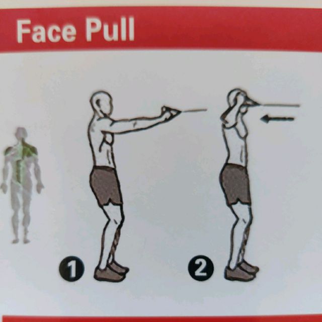 Face Pull by Dan S. Exercise Howto Skimble Workout Trainer