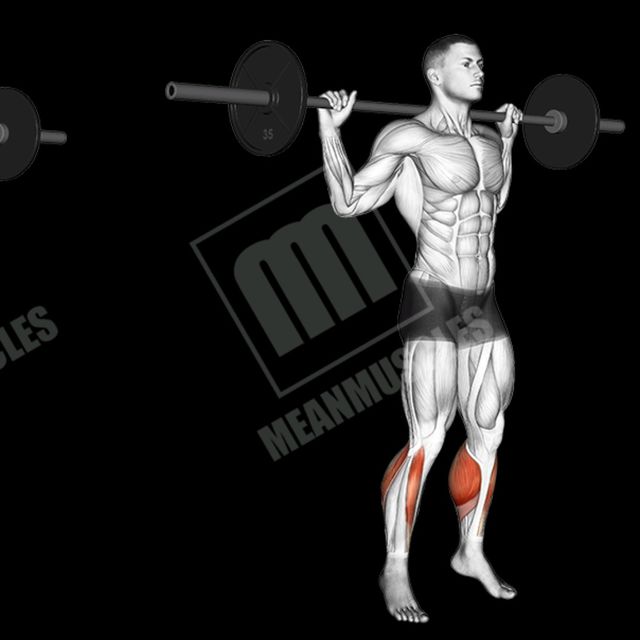 Barbell Calf Raises by Richard Terry Jr Exercise Howto Skimble