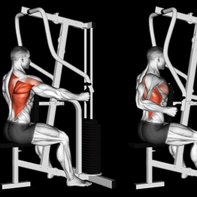 Machine Seated Row by Blissed Out Baker -plant Based Chef - Exercise ...