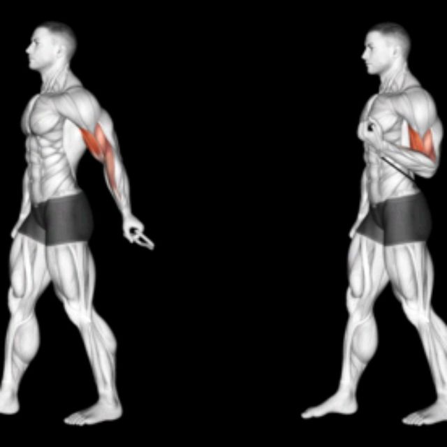 One Arm Face Away Cable Curl by Richard Terry Jr Exercise Howto