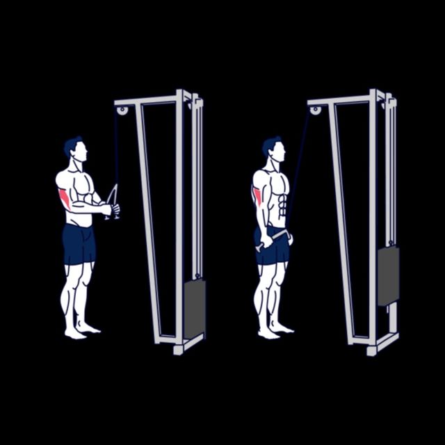 Tricep Extension by Zain Mahmood Exercise Howto Skimble