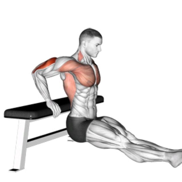 Bench Dip by Zain Mahmood Exercise Howto Skimble