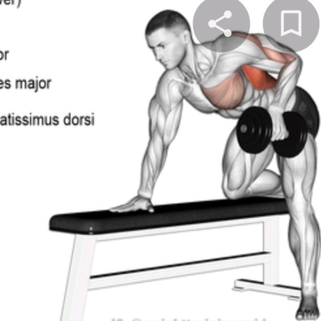 Alternating Arm Row by Stephanie K. - Exercise How-to - Skimble