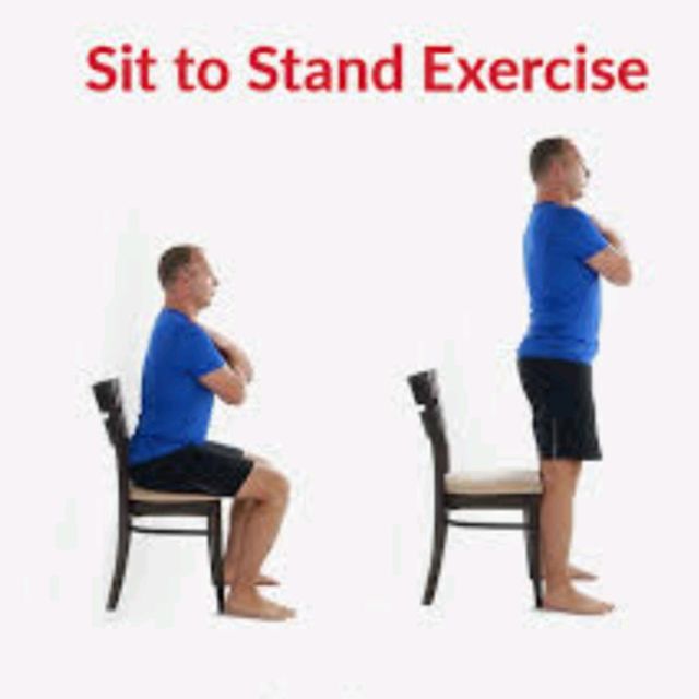 Sit-Stand by Susan H. - Exercise How-to - Skimble Workout Trainer