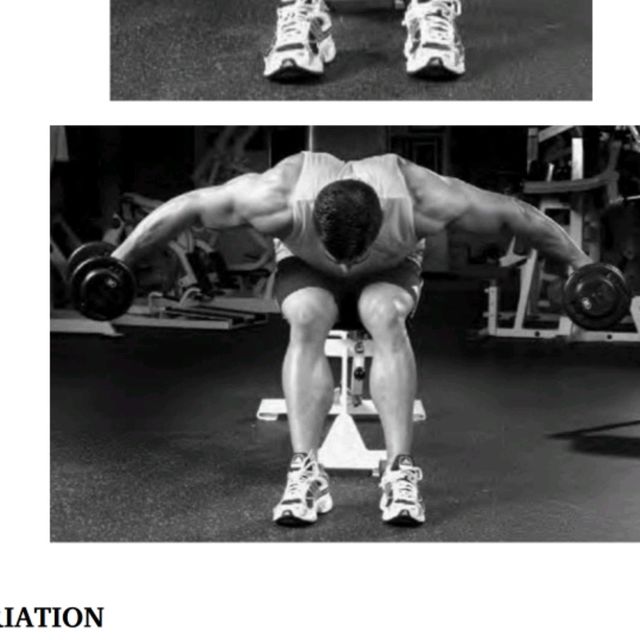 Bent Over Lateral Raise by Ceyhan Kapusuz Exercise Howto Skimble