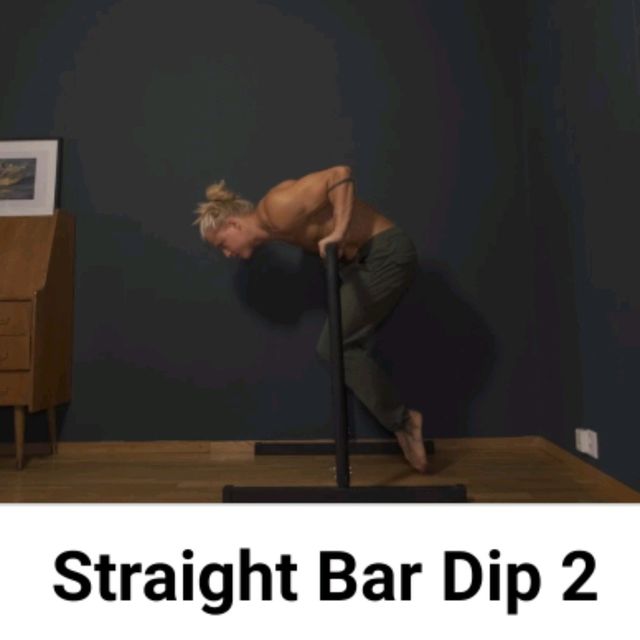 Straight Bar Dip by Alex 🌊. Exercise Howto Skimble