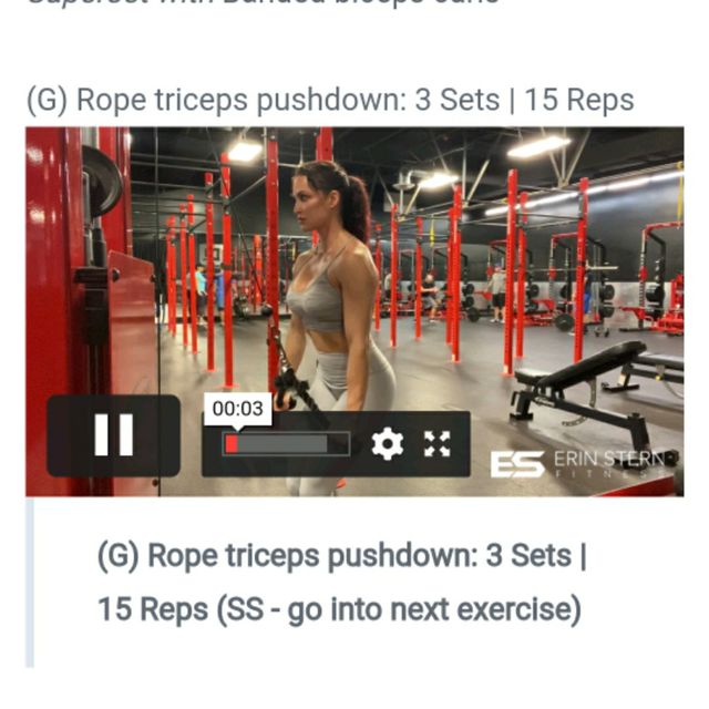 Rope triceps pushdown 3 Sets 15 Reps by Corporal Knutson Exercise Howto Skimble