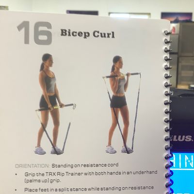 Trx Rip Bicep Curl