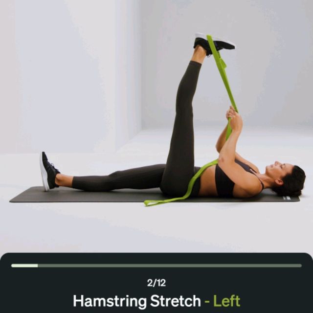 Hamstring Stretch With Band - Left by Rajeswari D. - Exercise How-to ...