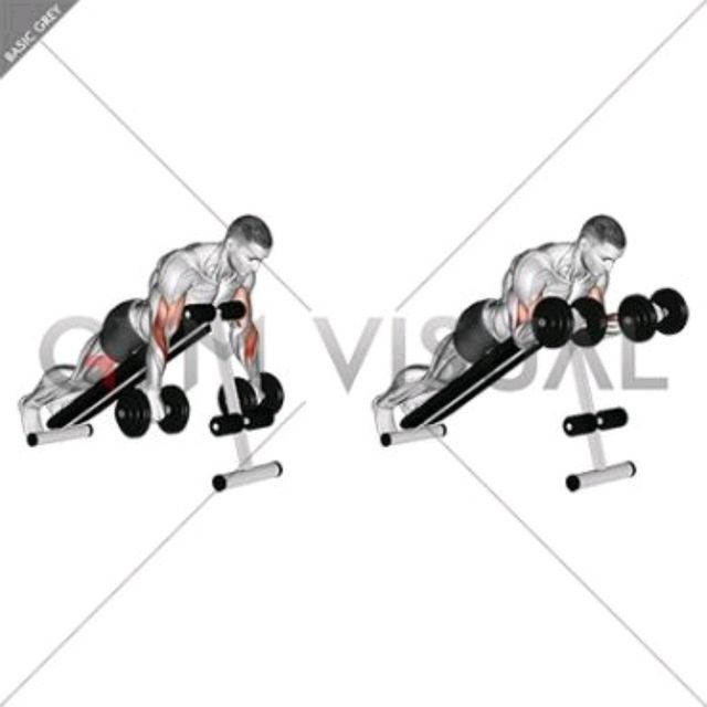 Dumbbell Spider Curls by Richard Terry Jr Exercise Howto Skimble