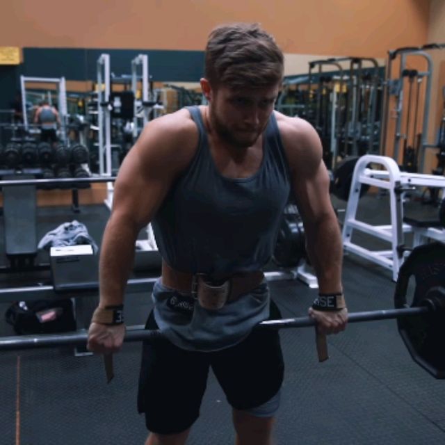 Traps Barbell Shrugs by Gas Zeal 🌱 Exercise Howto Skimble