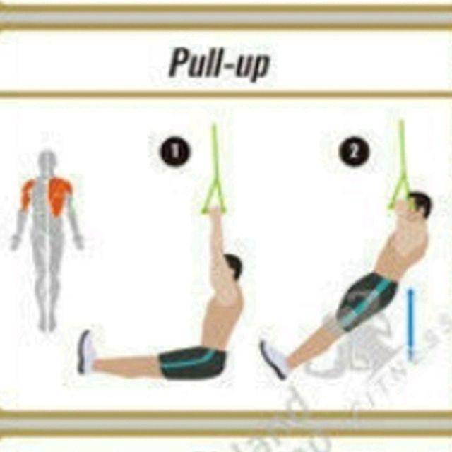 Pull Up Trx by Agnieszka Bianka S. Exercise Howto Skimble