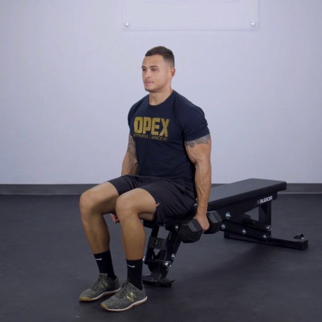 Seated One Arm Hammer Curl (L) by Ömer Köseoğlu Exercise Howto Skimble